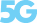 5g