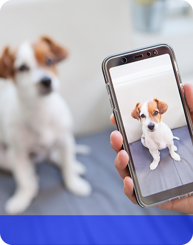 סמארטפונים לחובבי צילום